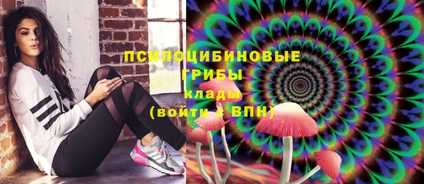 скорость Гусев