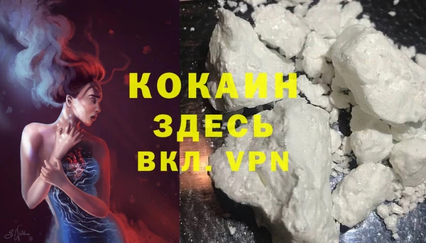 скорость Гусев