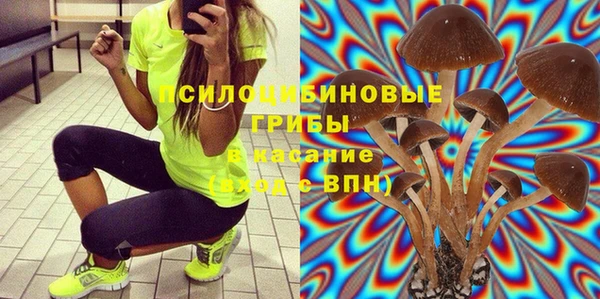 спиды Гусиноозёрск