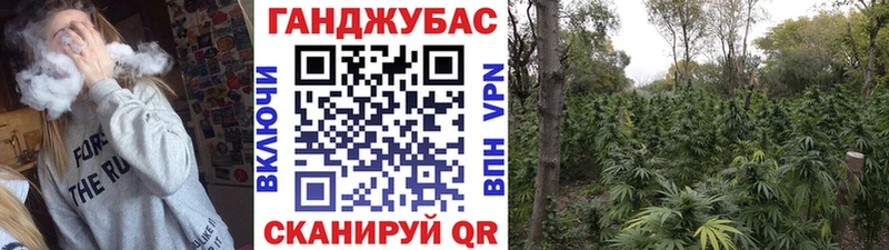 Купить  Соликамск  Бошки Шишки Bruce Banner 